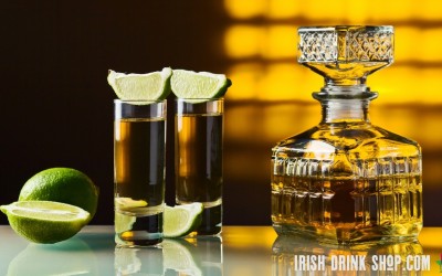 A Basic Guide To Tequila & Mezcal