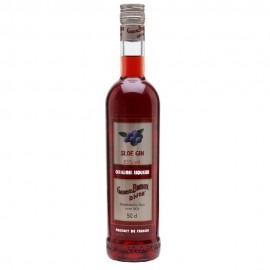 Gabriel Boudier Sloe Gin 50cl