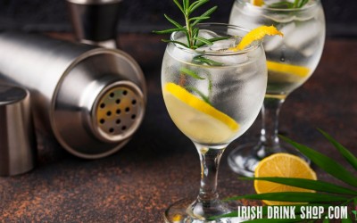 Keep Your Gin Up For Gin and Tonic Day