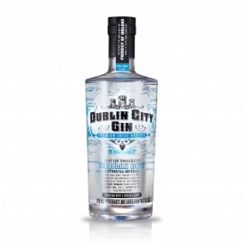 Dublin City Gin