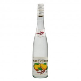 Eau De Vie Poire Williams Gabriel Boudier