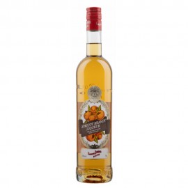 Gabriel Boudier Apricot Brandy