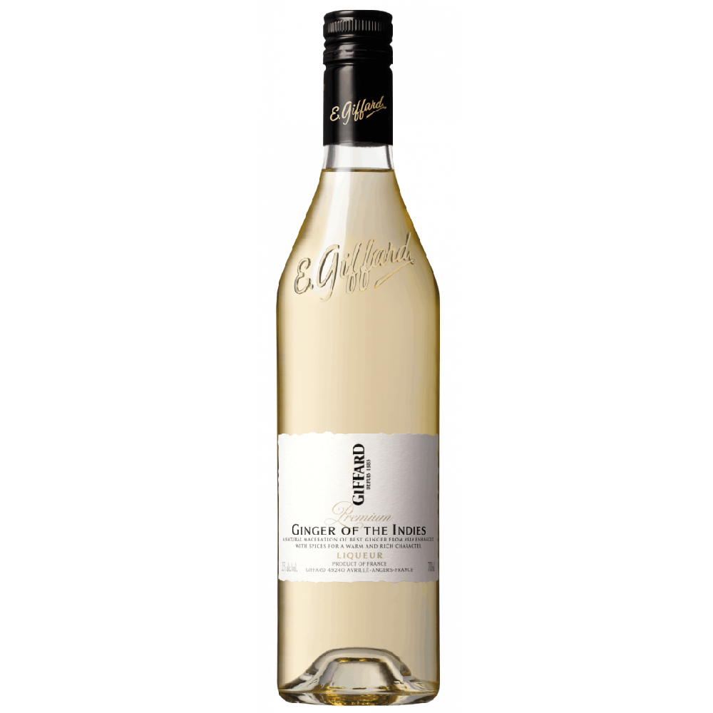 Ginger Of The Indies Giffard
