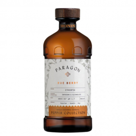 Monin Paragon Rue Berry Cordial 48.5cl