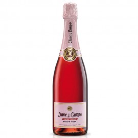 Juvé y Camps Brut Rosé Cava