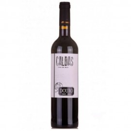 Alves de Sousa Caldas Tinto