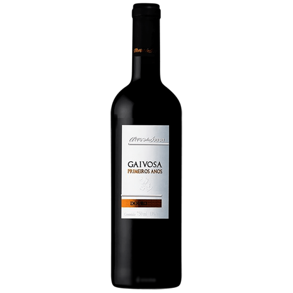 Alves de Sousa Gaivosa Primeiros Anos
