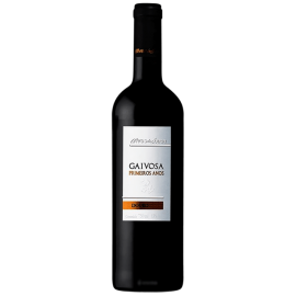 Alves de Sousa Gaivosa Primeiros Anos