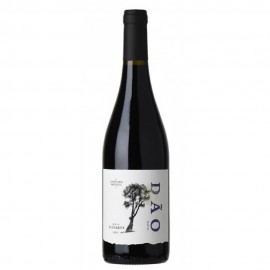 Anselmo Mendes Tinto Dao