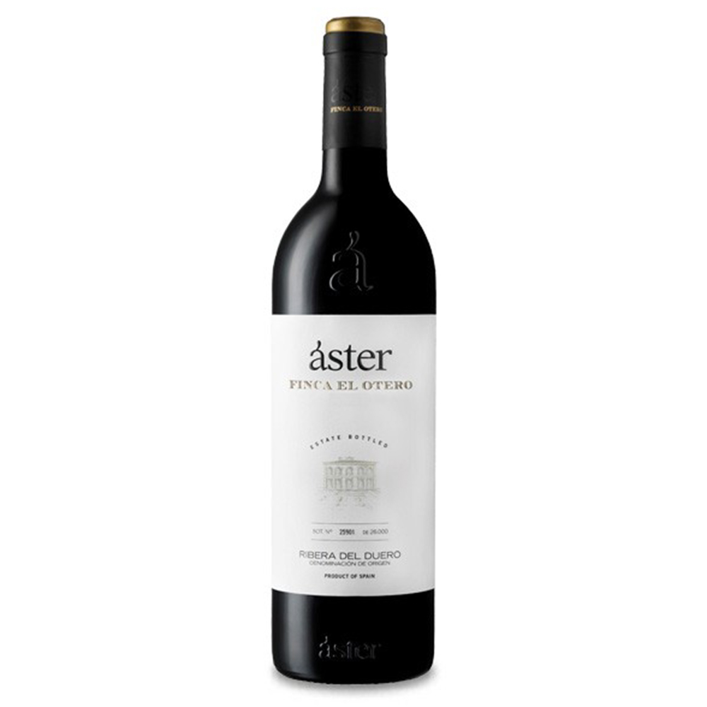 Aster Finca El Otero 2016