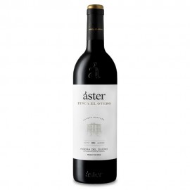 Aster Finca El Otero 2016