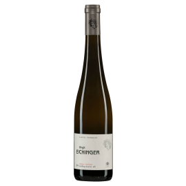 Birgit Eichinger Gruner Veltliner Gaisberg Reserve 2021