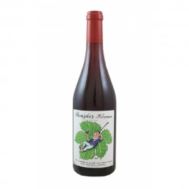 Chateau Cambon Beaujolais-Villages Nouveau 2020