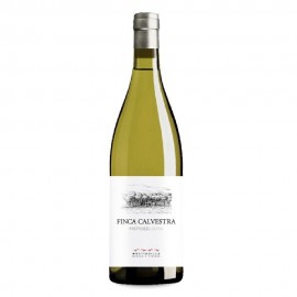 Finca Calvestra 2019