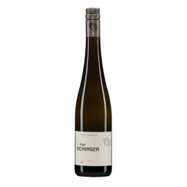 Birgit Eichinger Gruner Veltliner Hasel 2022