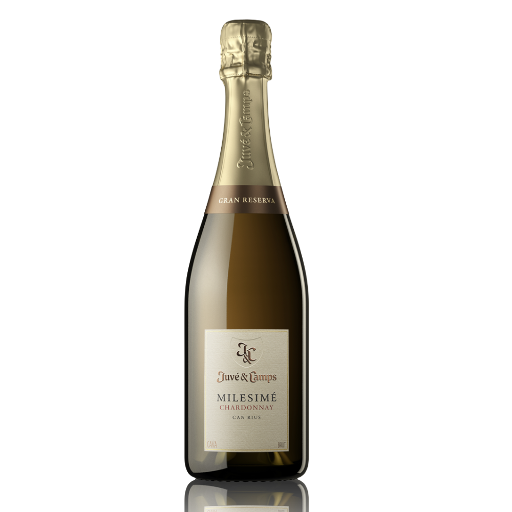 Juve Y Camps Chardonnay Brut