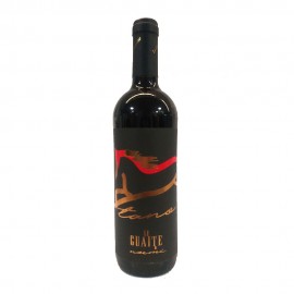 Le Guaite Rosso Veronese 2009 IGT