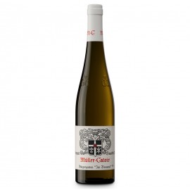 Muller Catoir Burgergarten Im Breumel Riesling