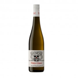 Muller Catoir Haardt Grauburgunder Dry