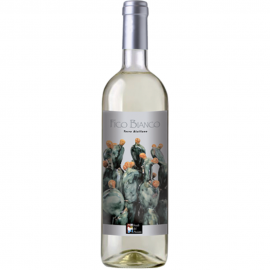 Pisciotto Fico Bianco