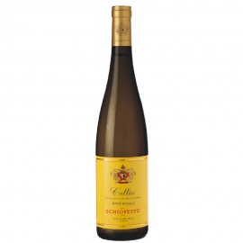 Schiopetto Pinot Bianco