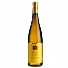 Schiopetto Pinot Grigio