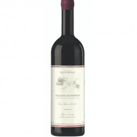 Valle Reale Montepulciano Vigneto di Popoli 2013